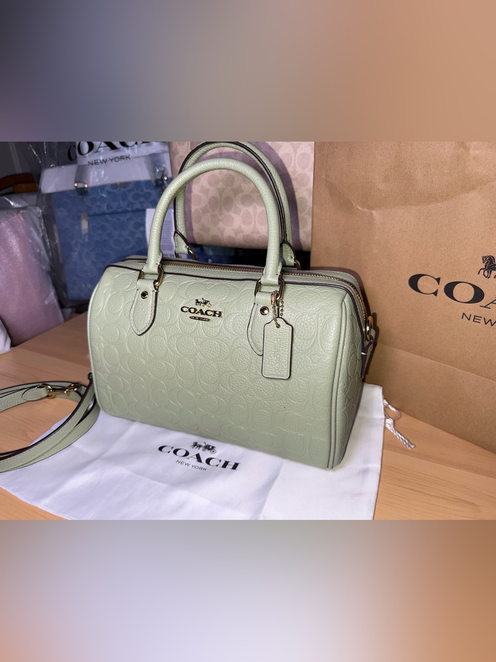 SOLD Coach outlet Rowan Satchel Bag In Signature Leather - Pistachio